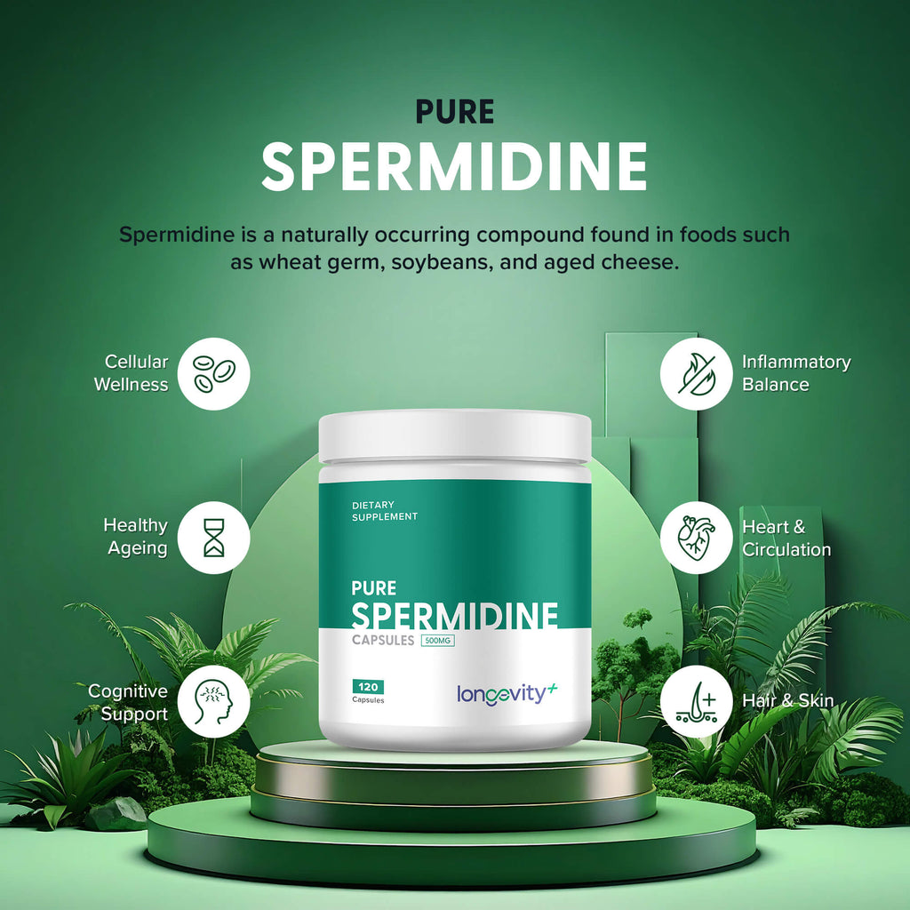 Spermidine